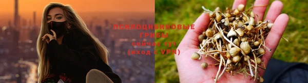гидропоника Медногорск