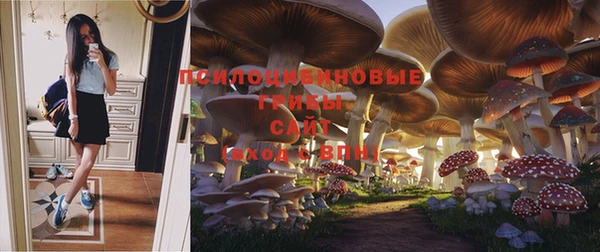 гидропоника Медногорск